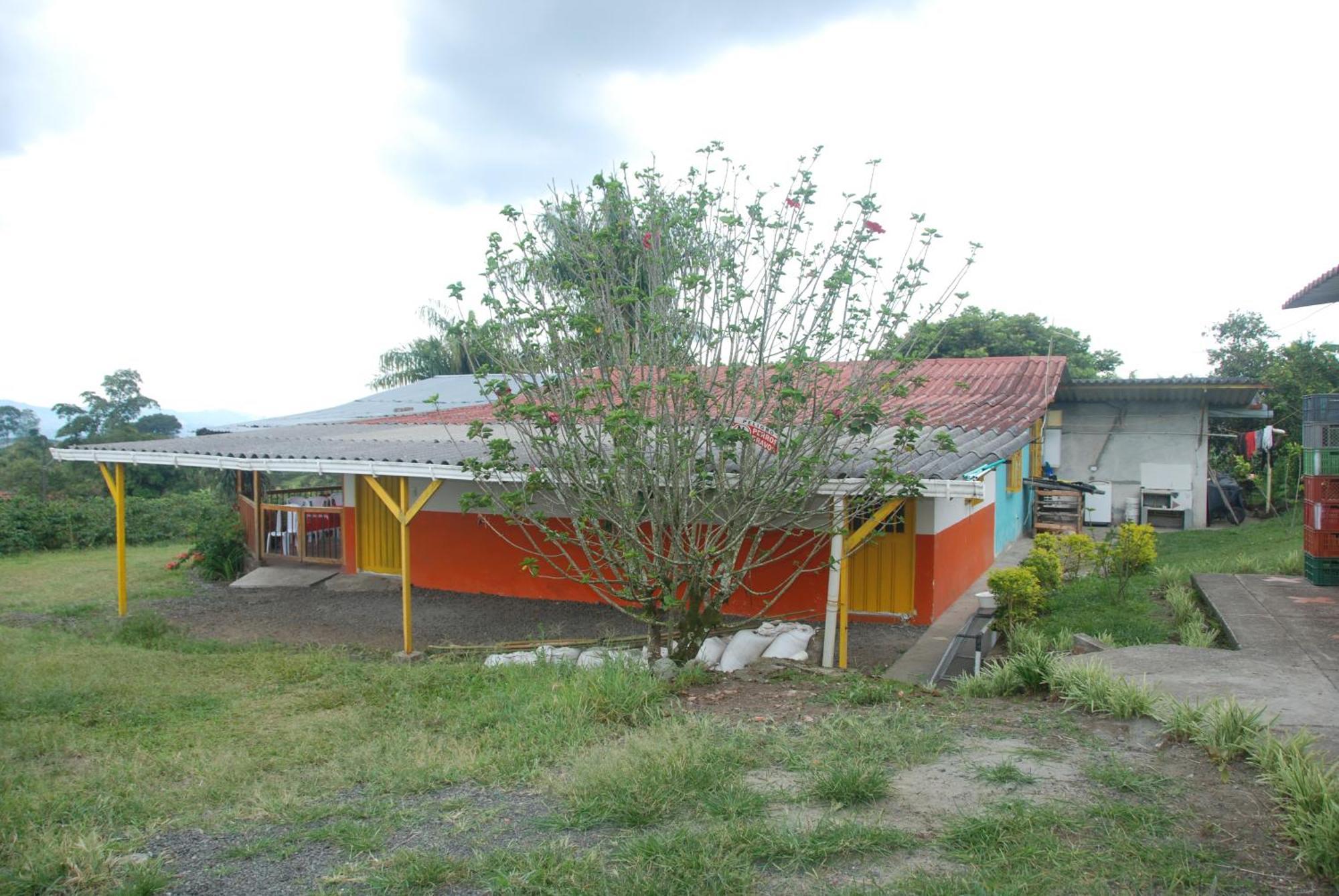 Finca En El Quindio Arrullo Cafetero 金巴亚 外观 照片